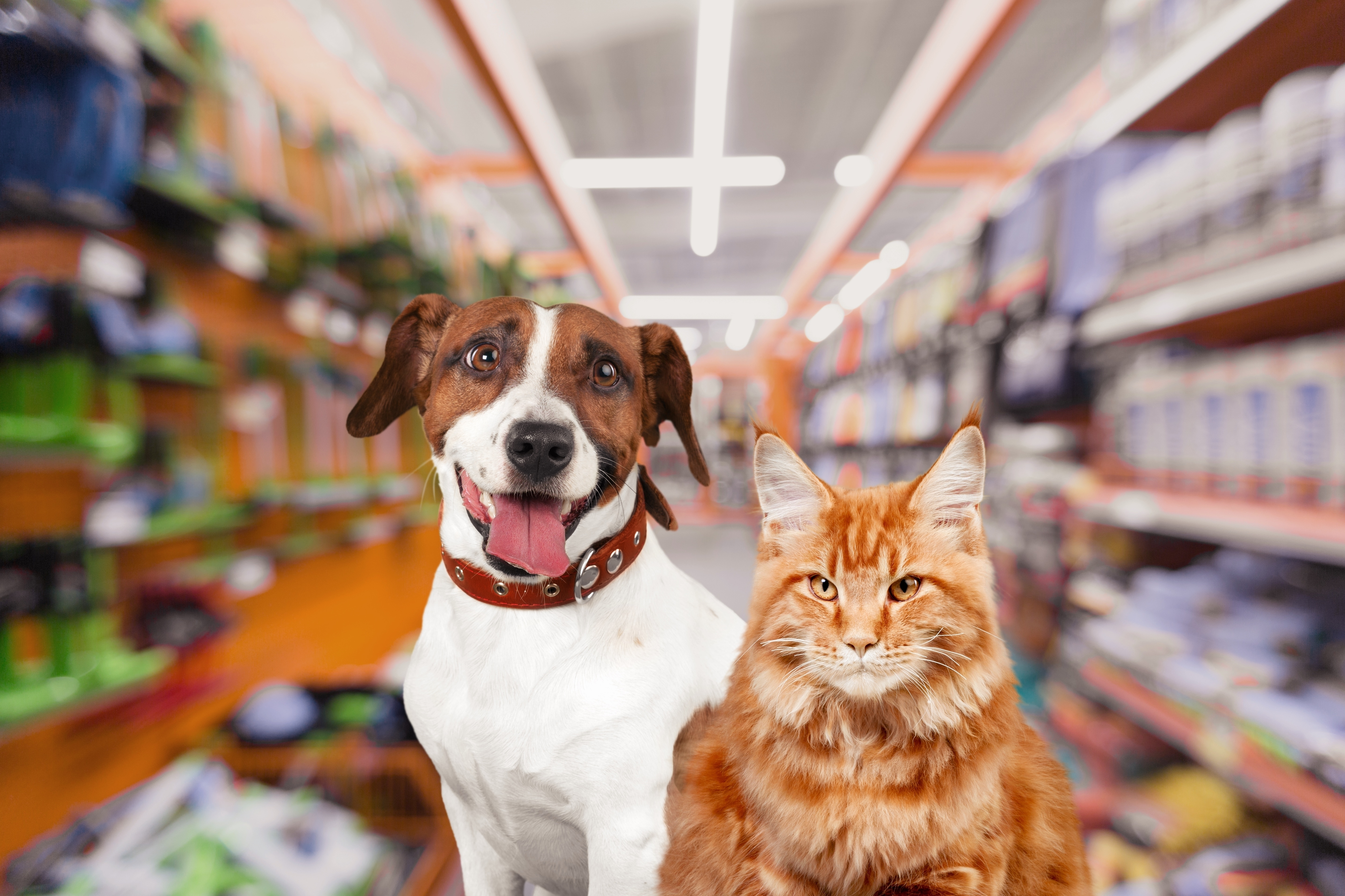 shutterstock_2265495249